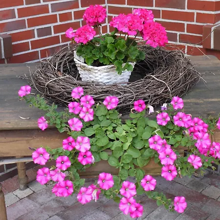 Friesenhof Meyer Rastede