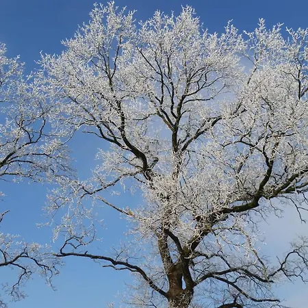 Friesenhof Meyer Apartamento